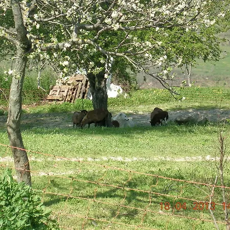 Frühstückspension Casa Taiola *